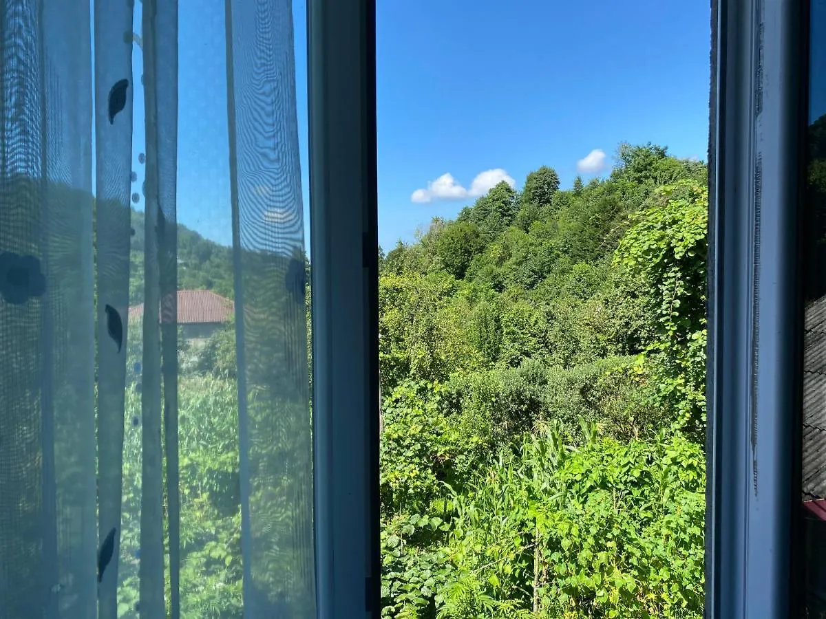 Venera'S Guest House Batum 0*,