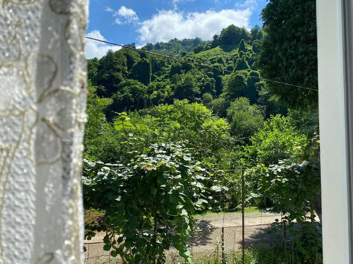 Kır Evi Venera'S Guest House Batum