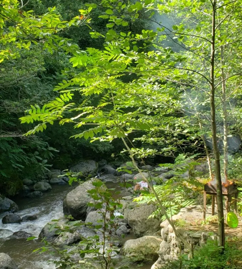 Venera'S Guest House Batum